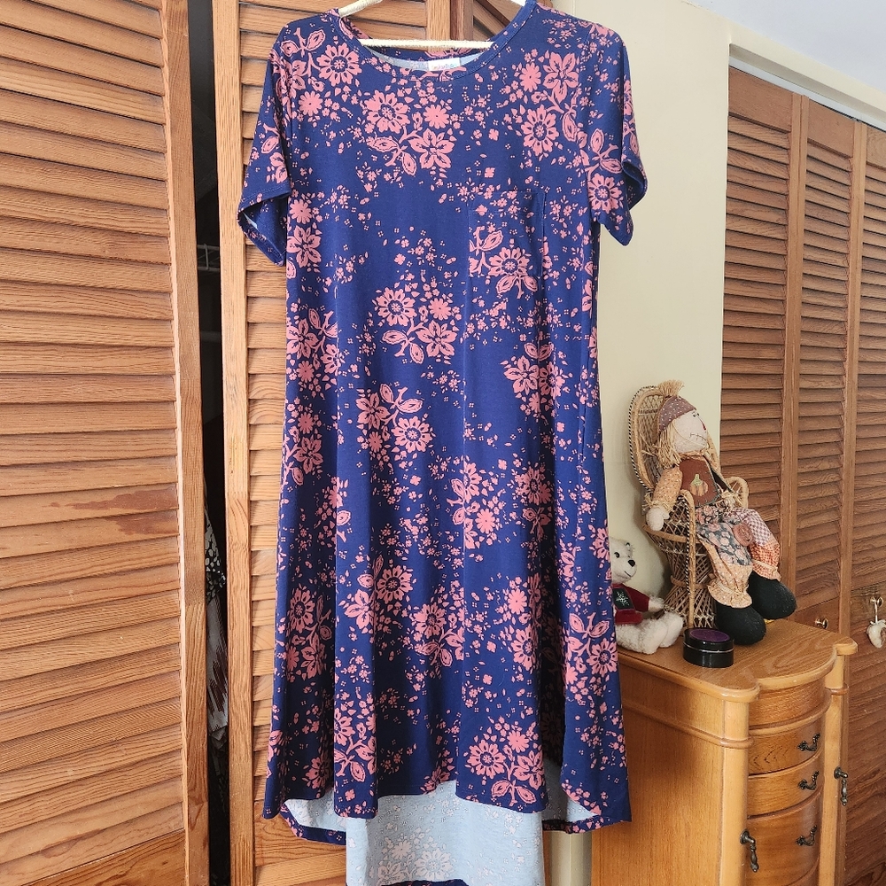 Floral Navy and Pink Dress